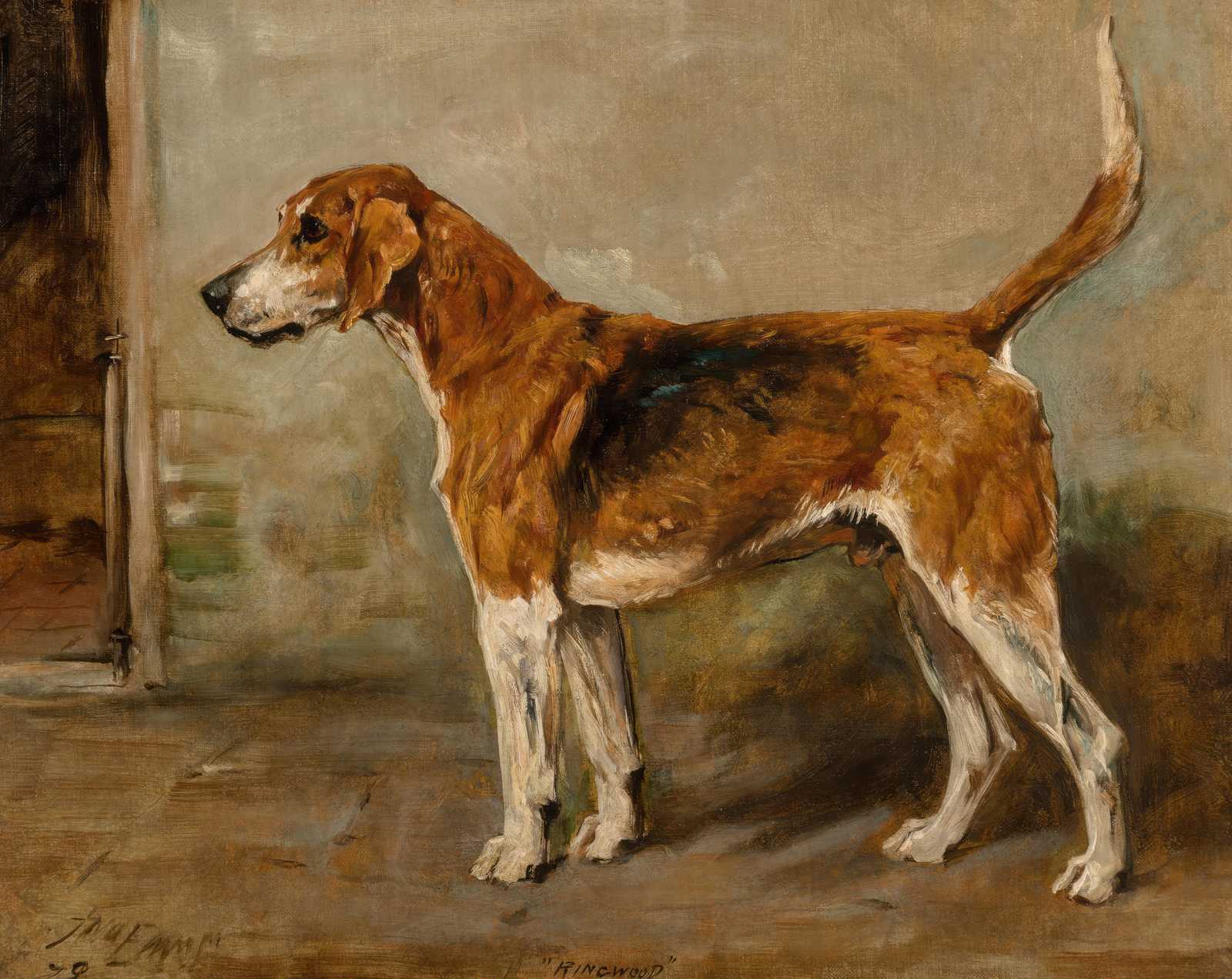 Elegant Hound Portrait Wall Art - Pet Art