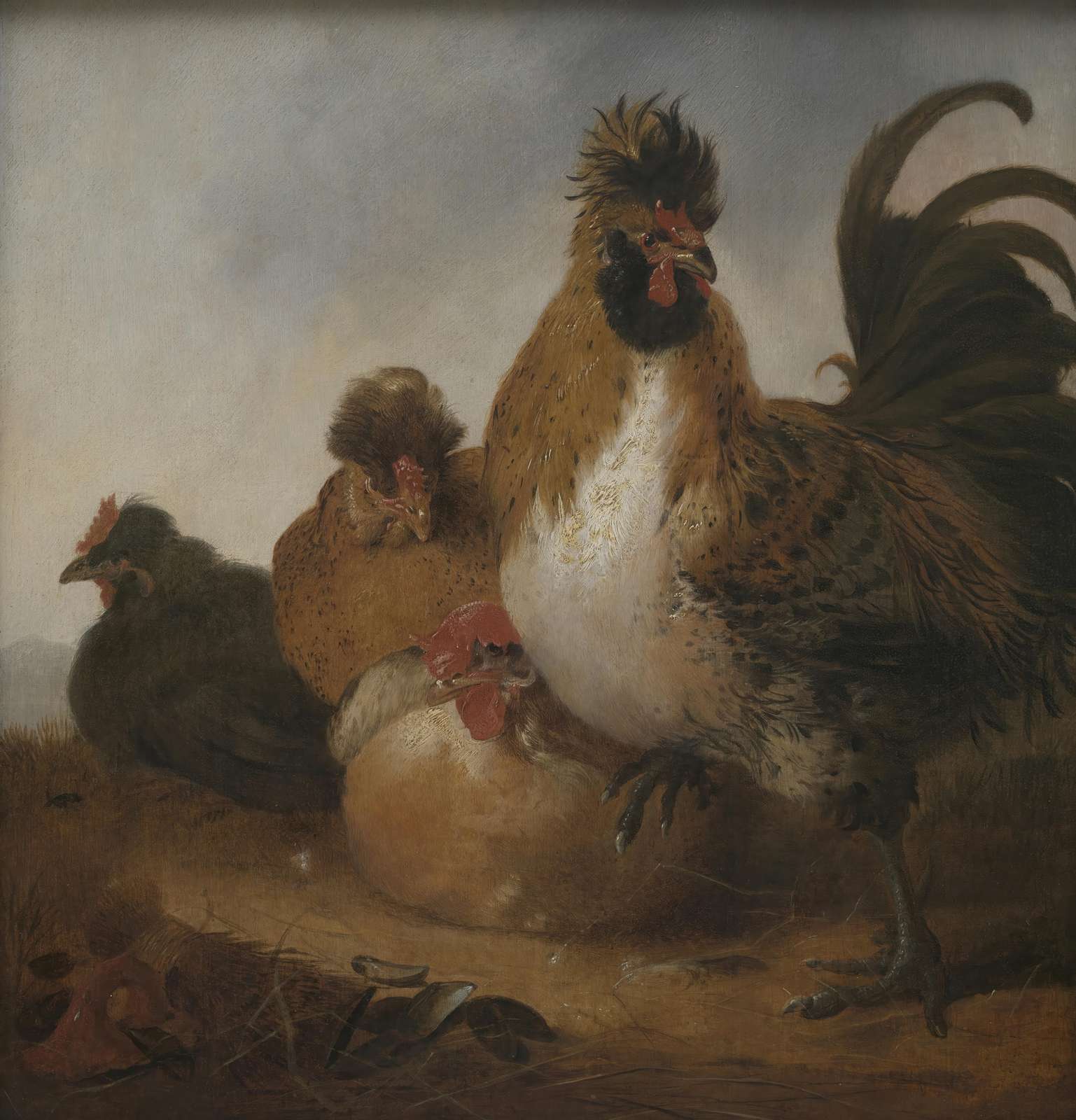 Rooster and Hens Realistic Farm Art Wall Art