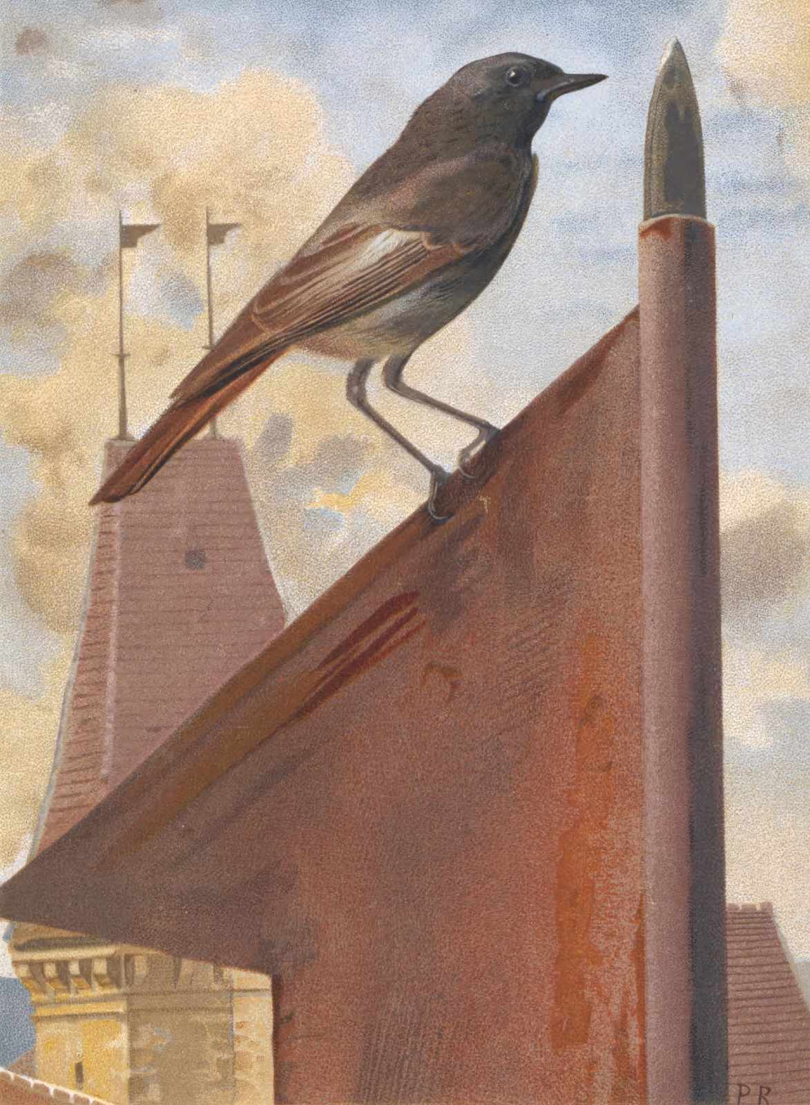 Elegant Bird on Rooftop Vintage Style Wall Art