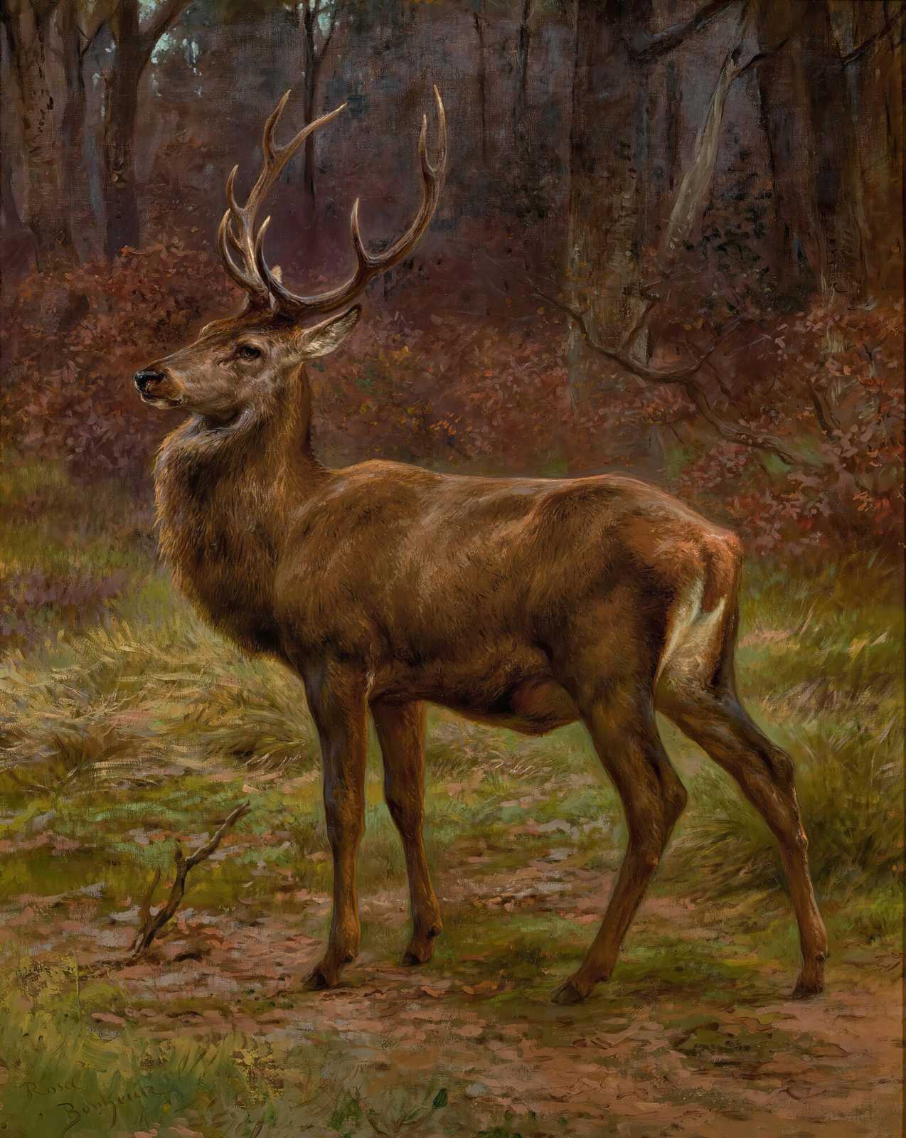 Majestic Stag Forest Scene Wall Art