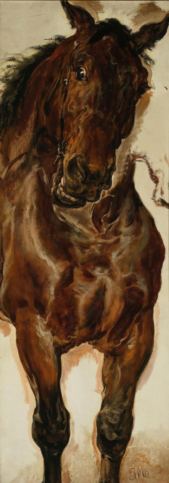 Majestic Horse Portrait Wall Art