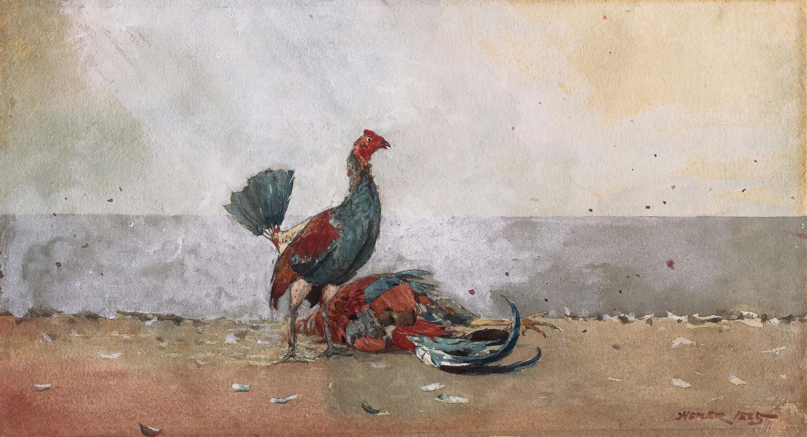 Rooster Fight Watercolor Wall Art