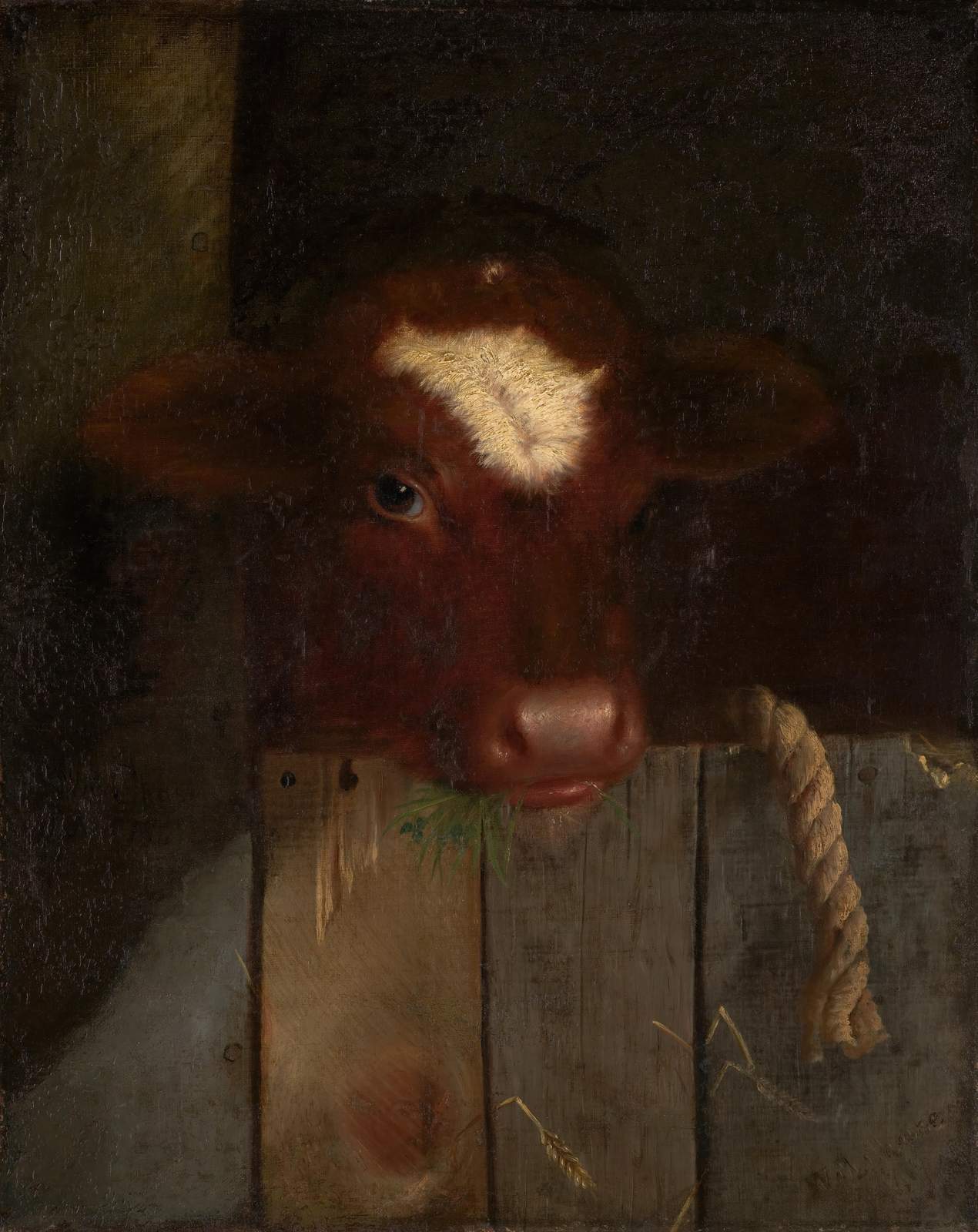 Rustic Farmhouse Cow Wall Art