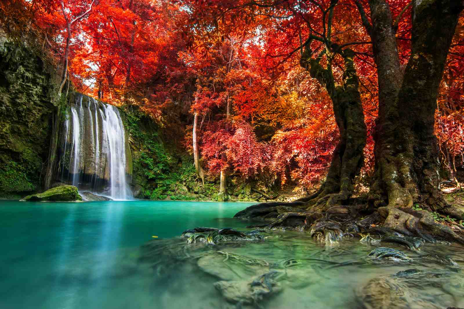 Tranquil Waterfall & Autumn Forest Wall Art