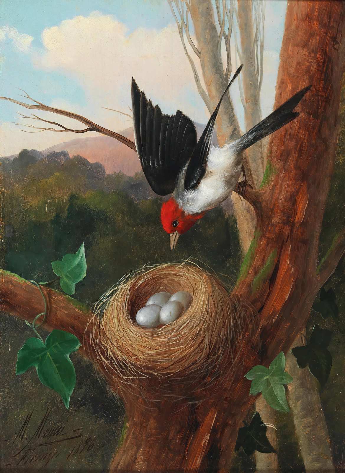 Bird Nest with Eggs Vintage Nature Wall Art