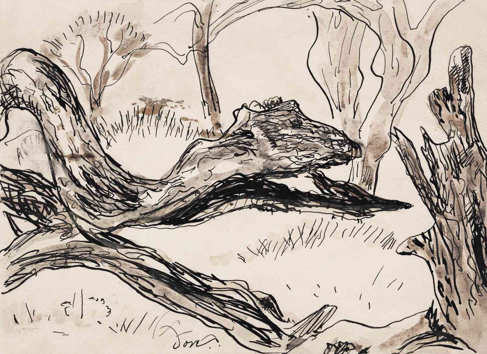 Abstract Forest Scene Sketch Wall Art