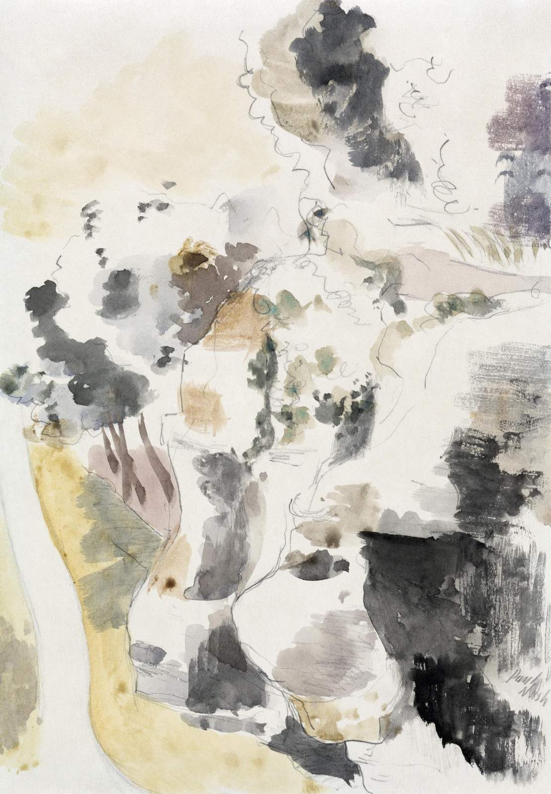Abstract Botanical Sketch Wall Art