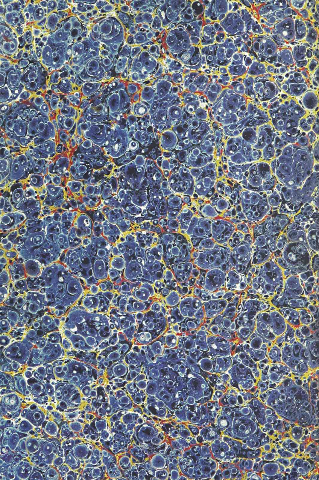 Abstract Blue Marbling Wall Art Art