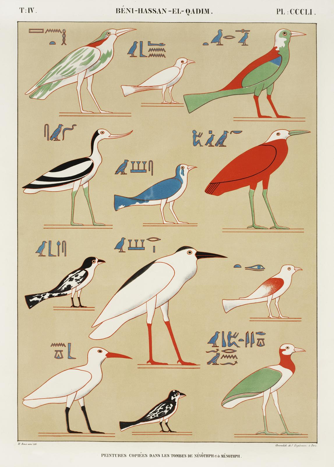Vintage Egyptian Bird Art Wall Art