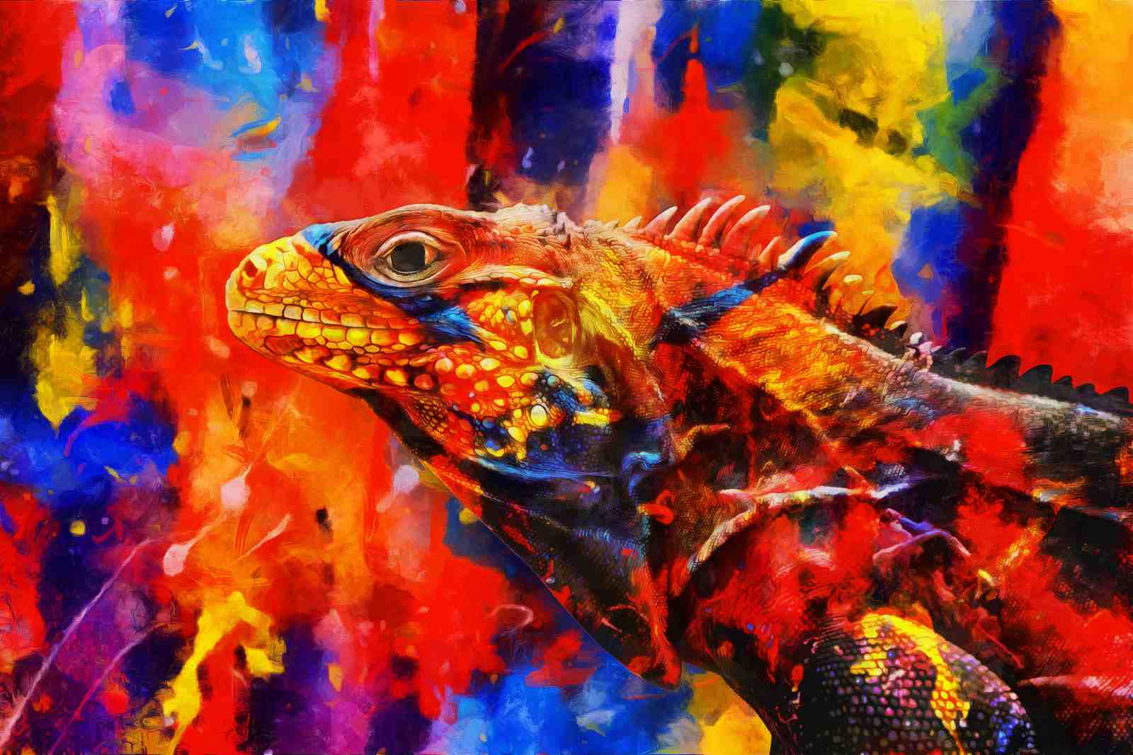 Vibrant Iguana Burst Wall Art