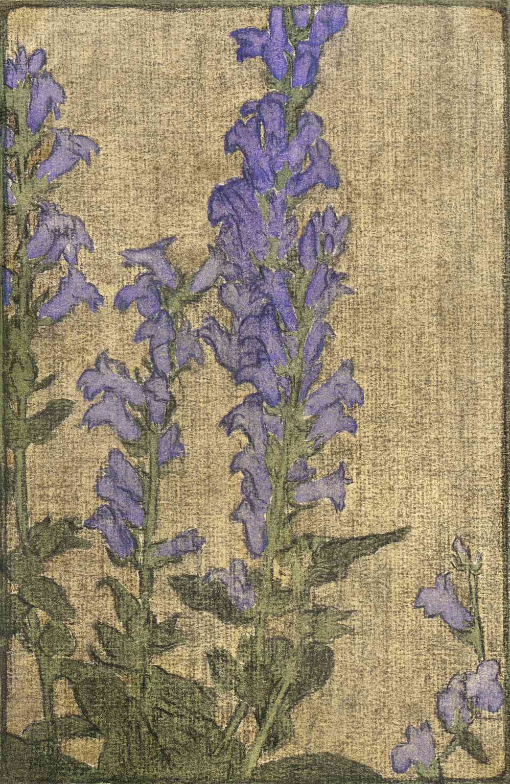 Purple Bell Flowers Vintage Botanical Wall Art