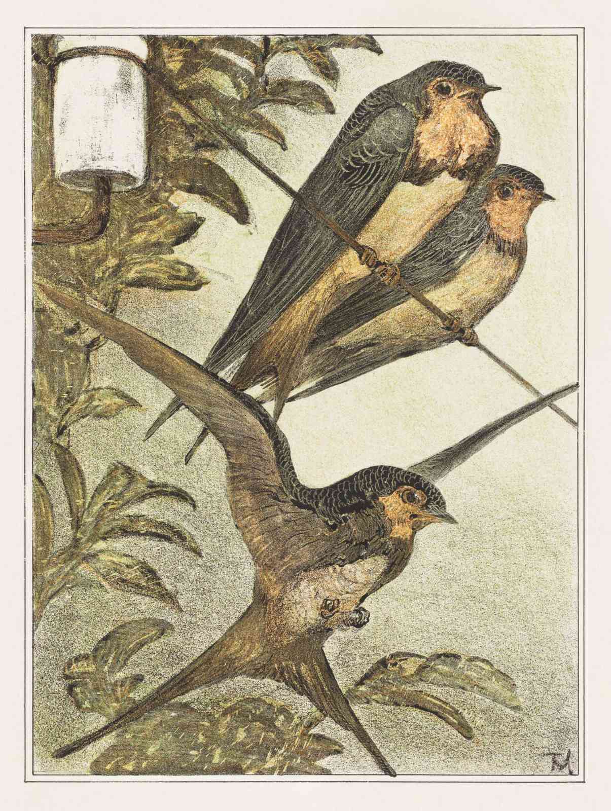 Swallow Serenade Vintage Bird Art Wall Art