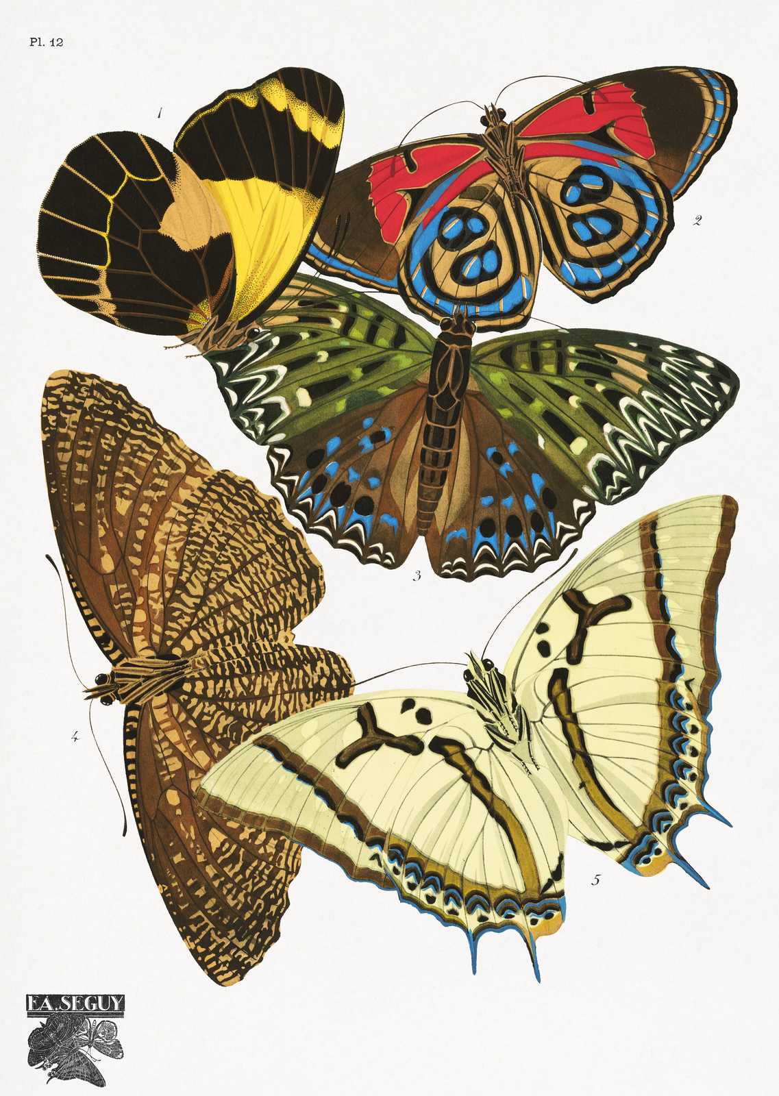 Vintage Butterfly Art Wall Art