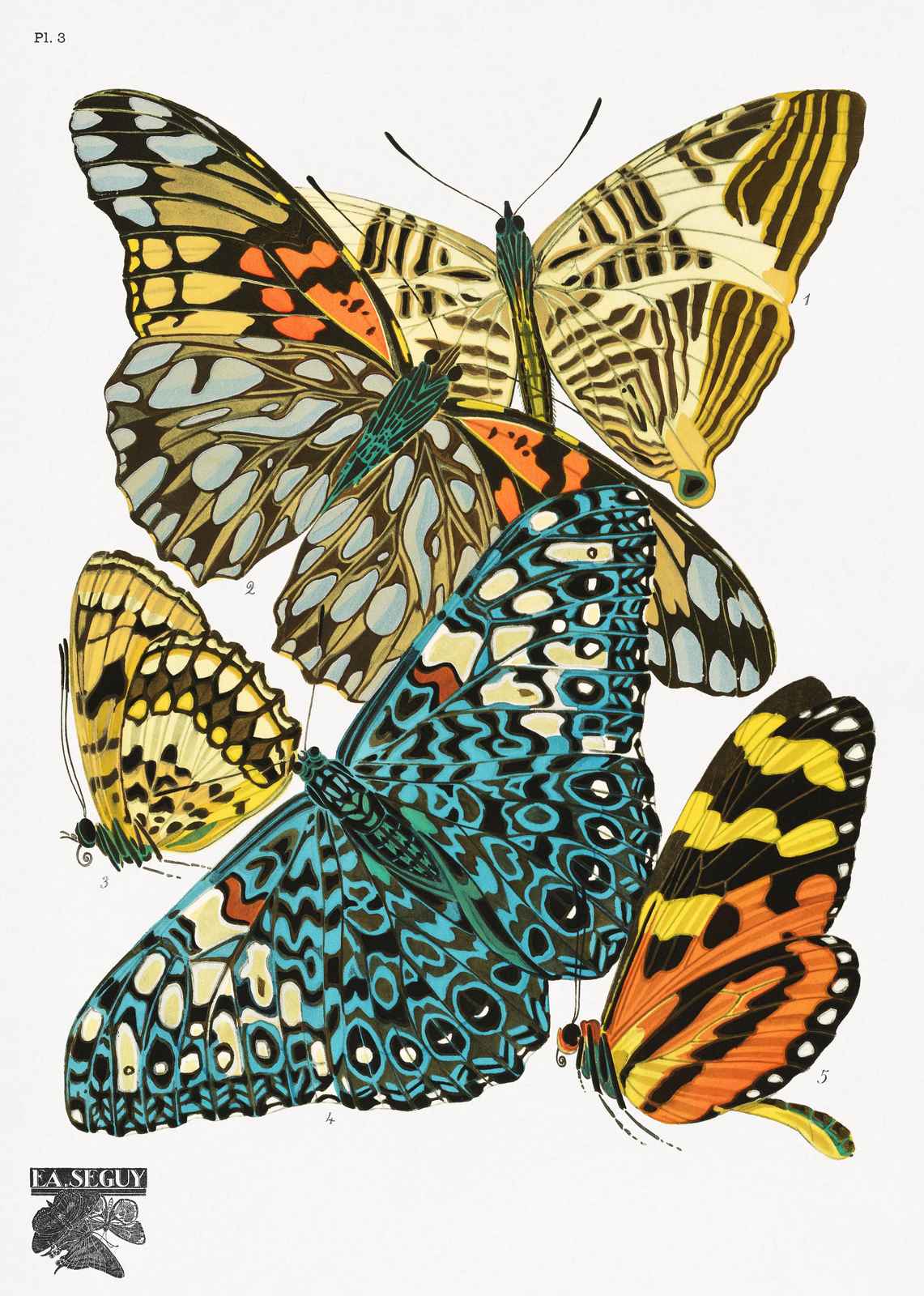 Vintage Butterfly Art Wall Art