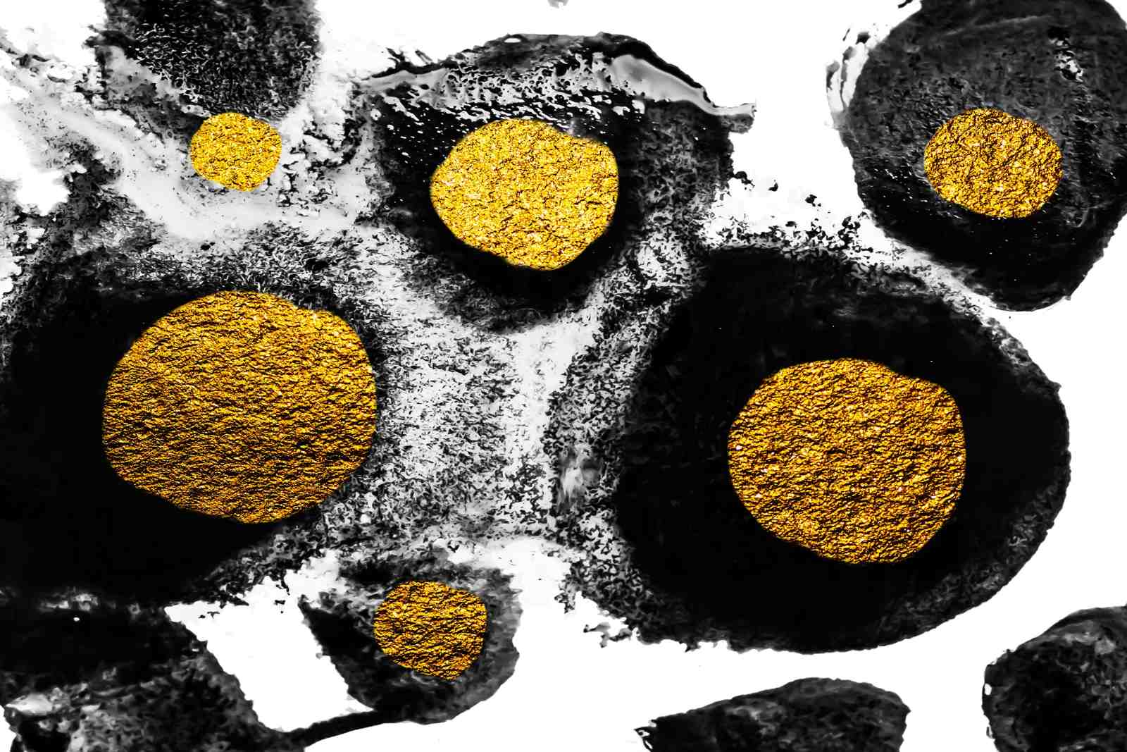 Abstract Gold & Black Circles Wall Art