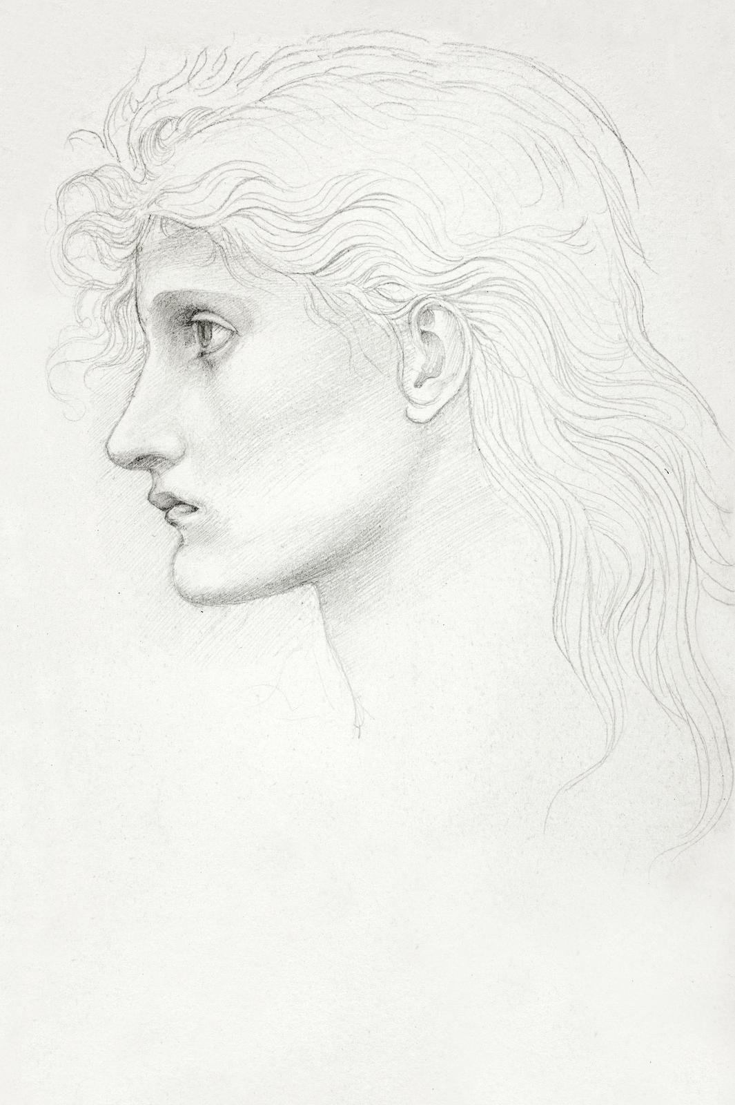 Enigmatic Profile Pencil Sketch Wall Art