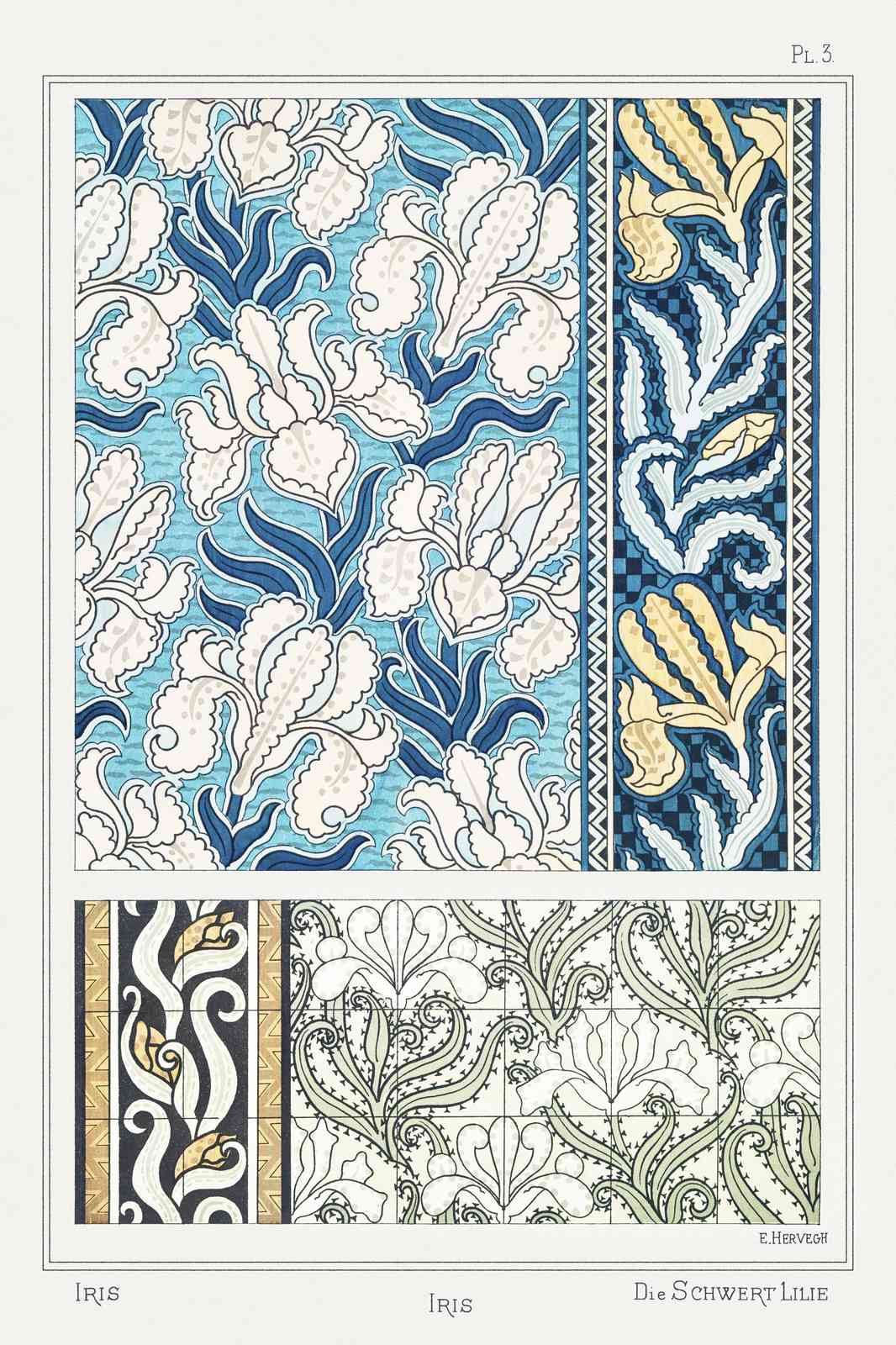 Art Nouveau Iris Floral Art Wall Art