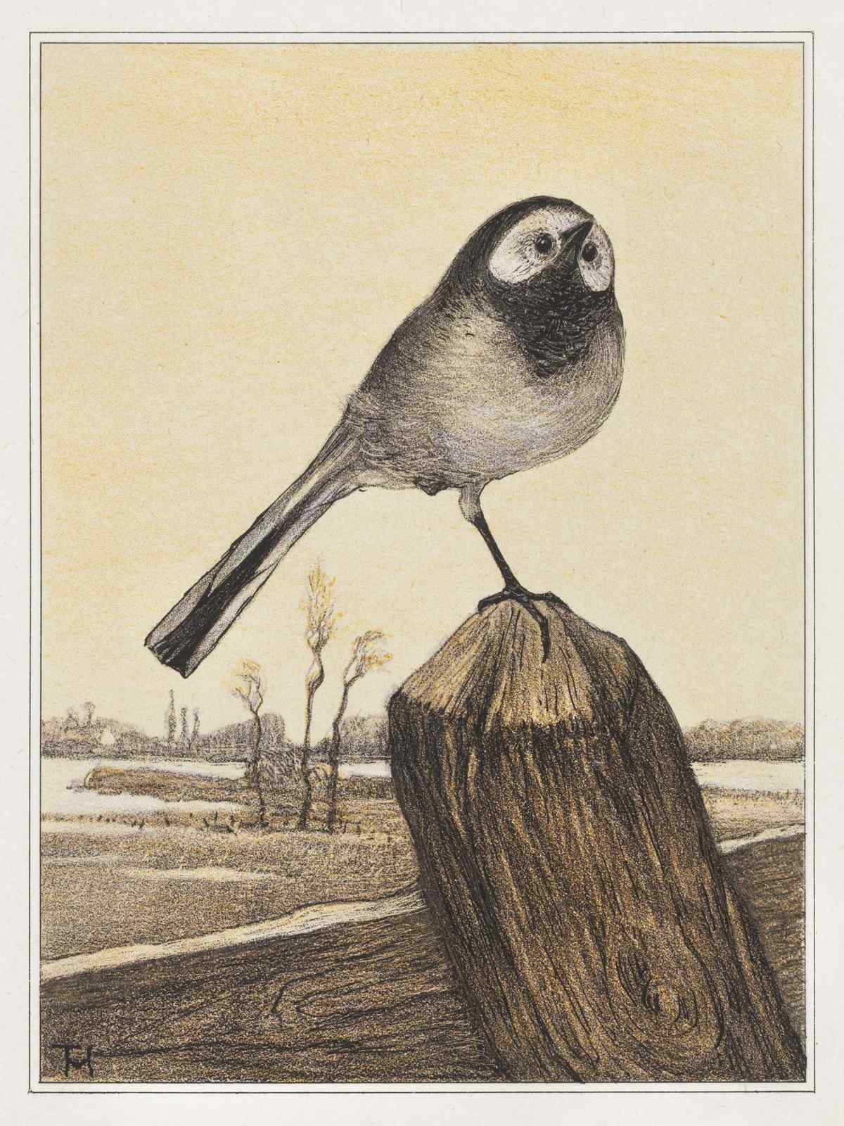 Wagtail Perched on Post Wall Art