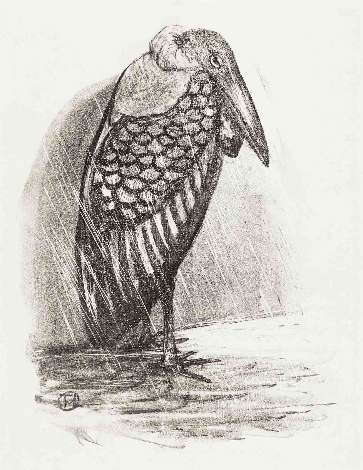 Melancholy Bird in Rain Sketch Wall Art