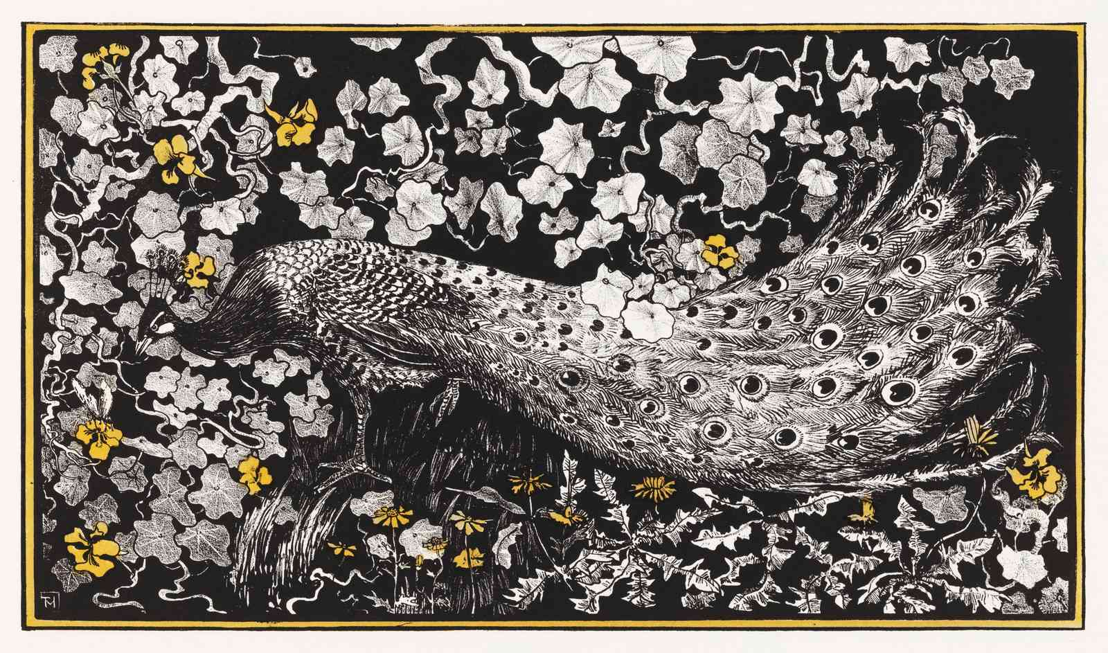 Elegant Peacock Floral Art Wall Art
