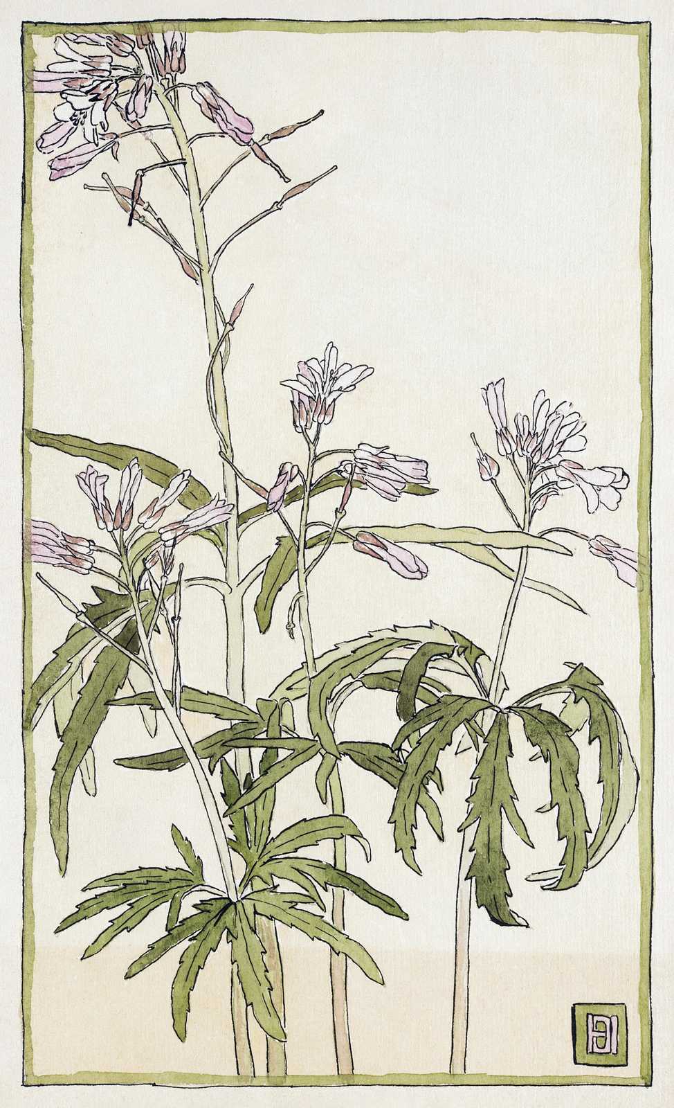 Elegant Botanical Study Wall Art