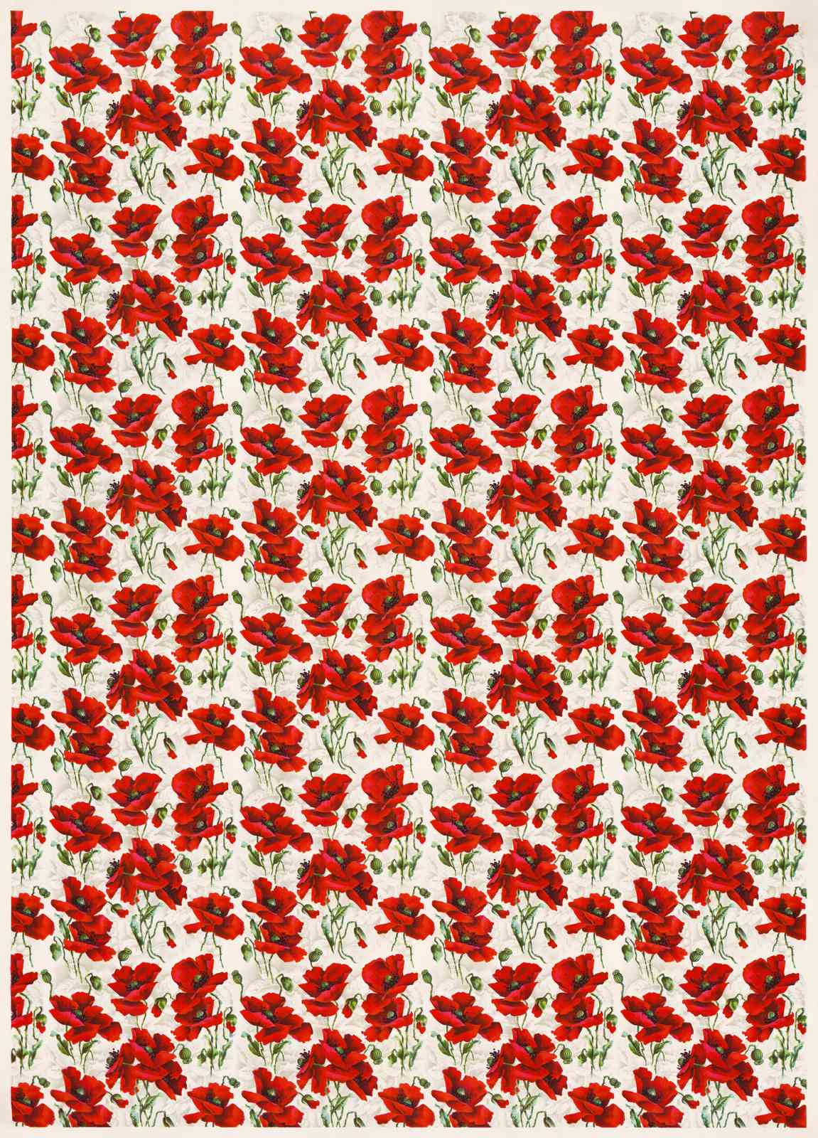 Vibrant Red Poppy Field Wall Art