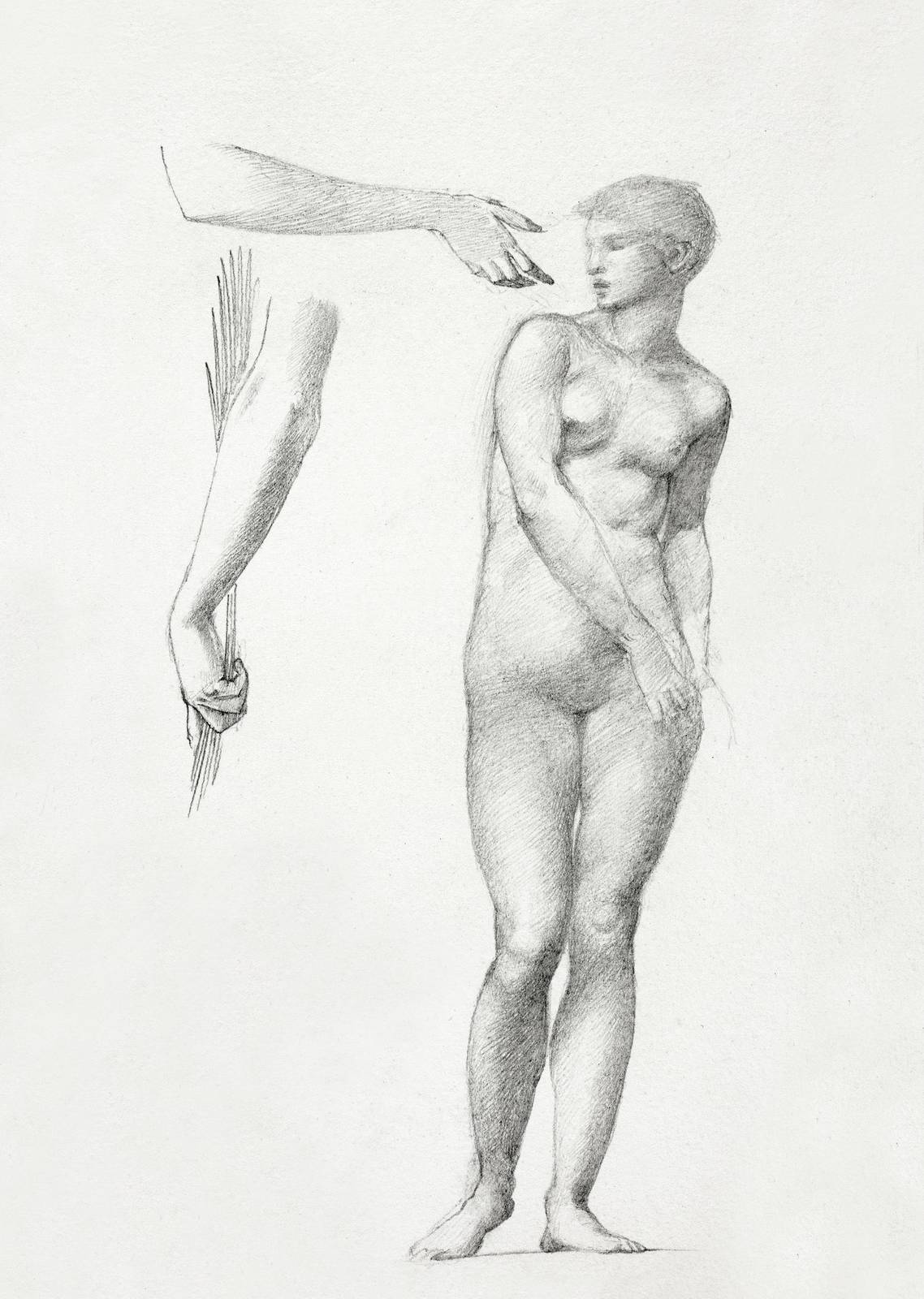 Classical Figure Study Pencil Art Wall Art