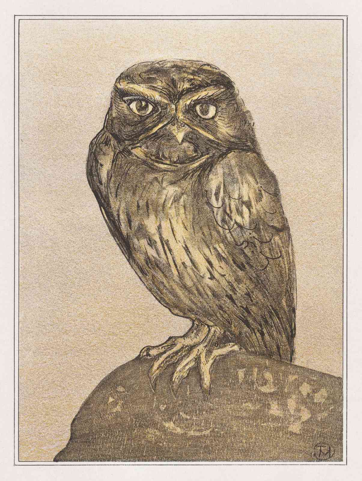 Wise Owl Vintage Art Wall Art