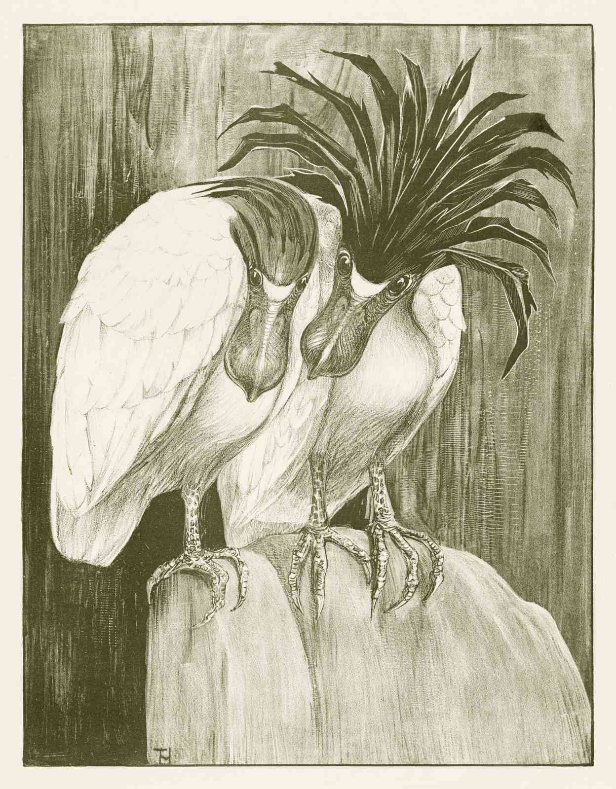 Intricate Bird Duo Vintage Illustration Wall Art