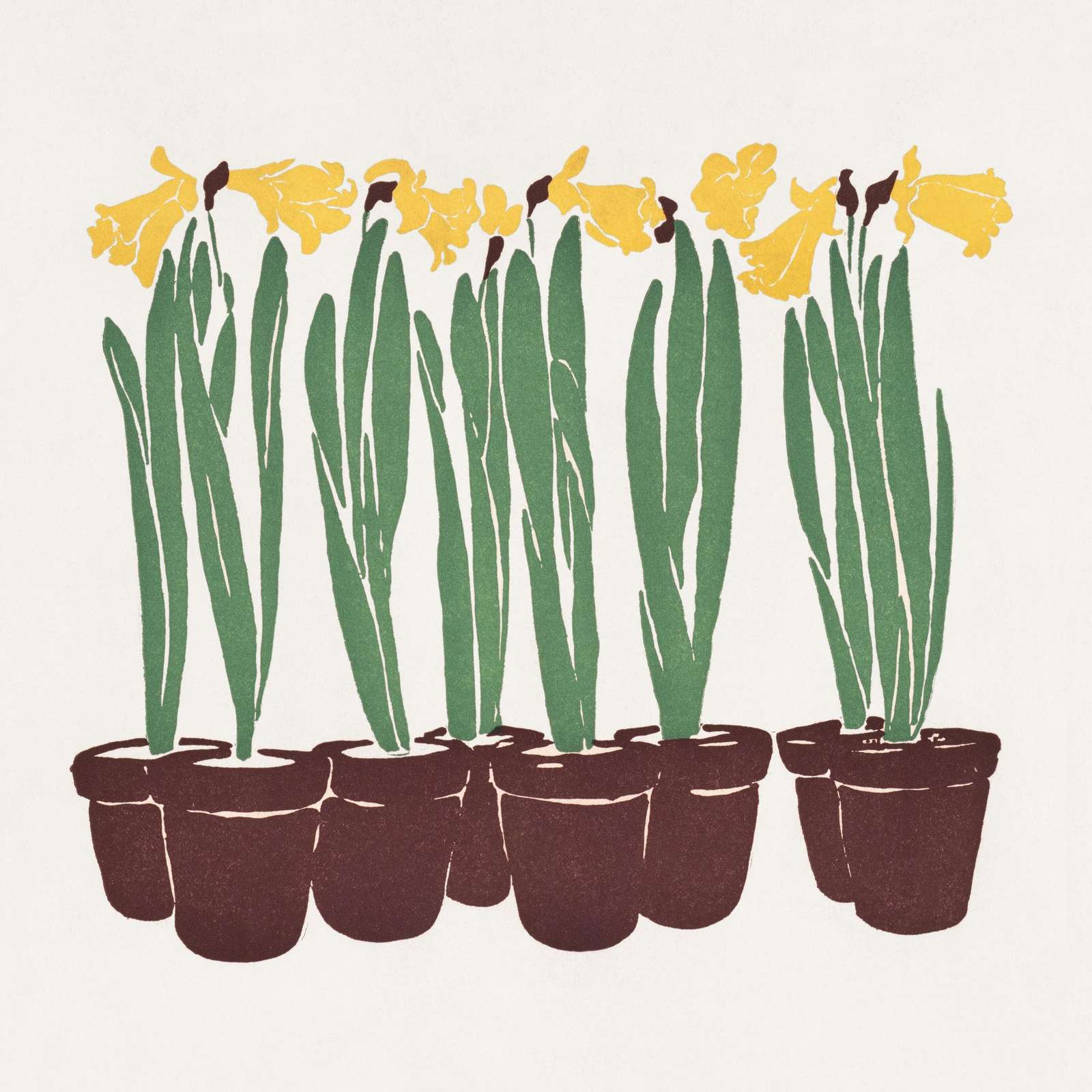 Vibrant Daffodils in Pots Wall Art