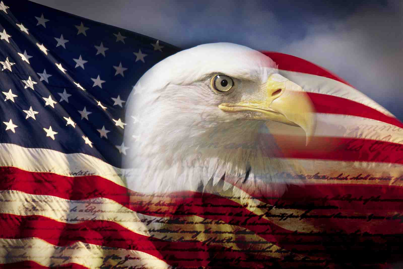 Patriotic Eagle USA Flag Wall Art