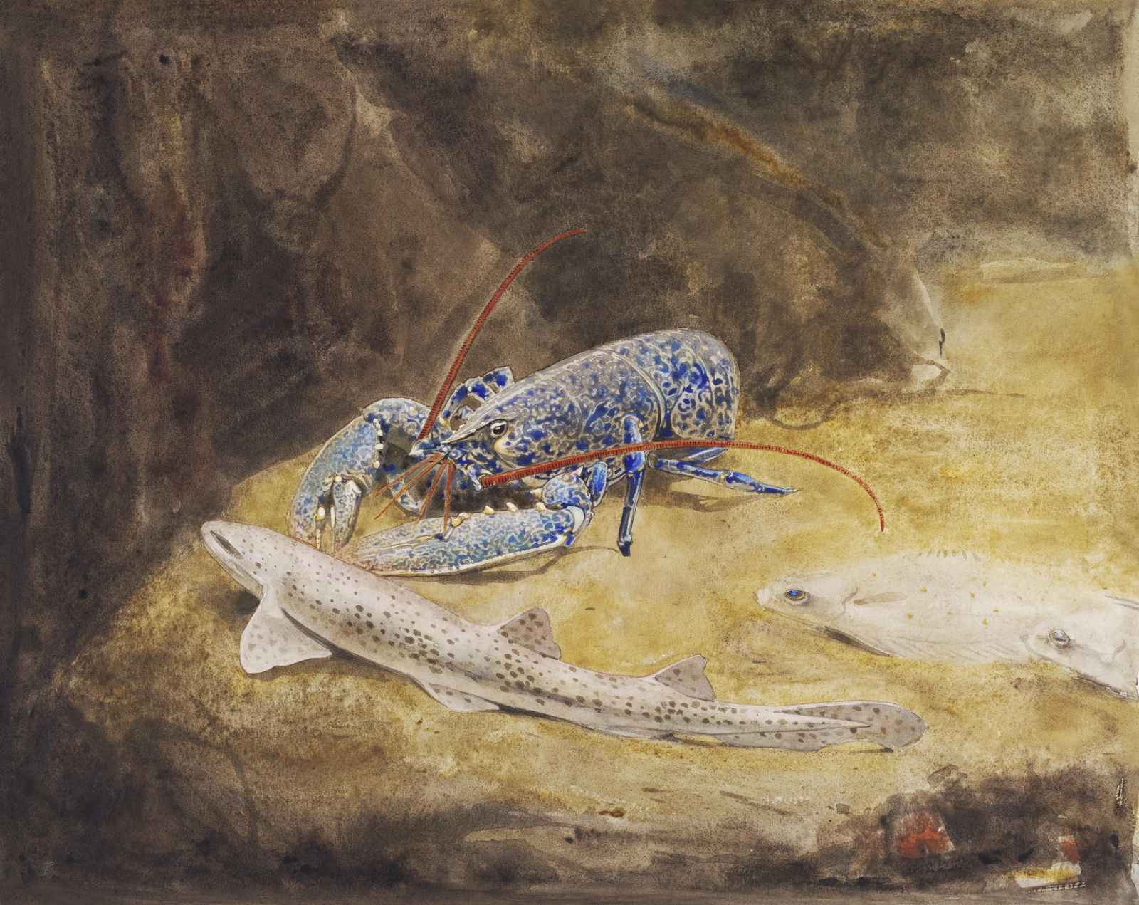 Vibrant Lobster & Fish Underwater Scene Wall Art