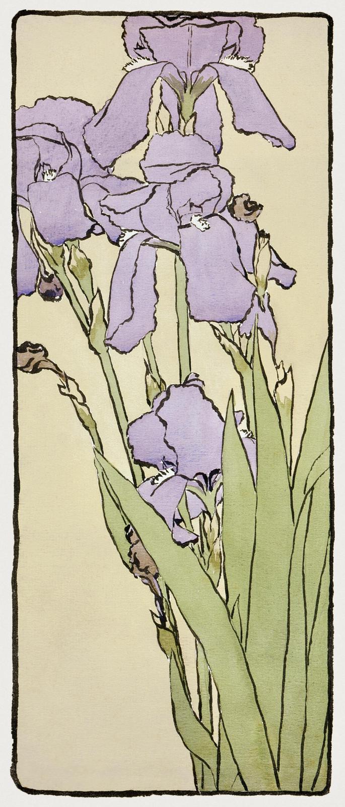 Elegant Purple Iris Botanical Wall Art