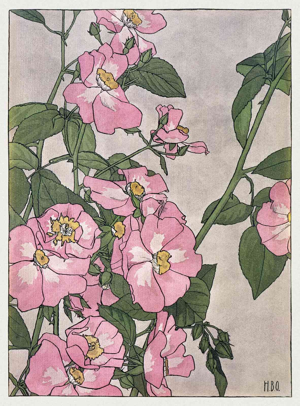 Pink Roses Botanical Art Wall Art