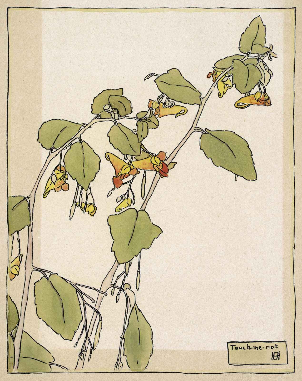 Botanical Impatiens 'Touch-me-not' Wall Art