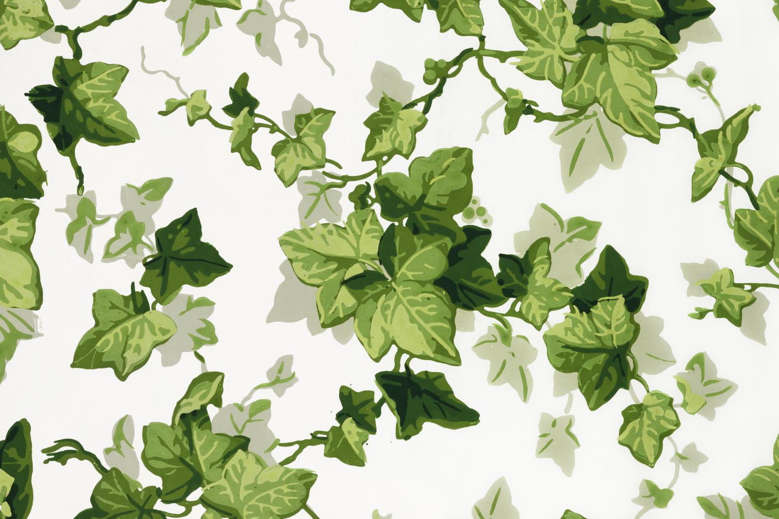 Vintage Ivy Botanical Wall Art
