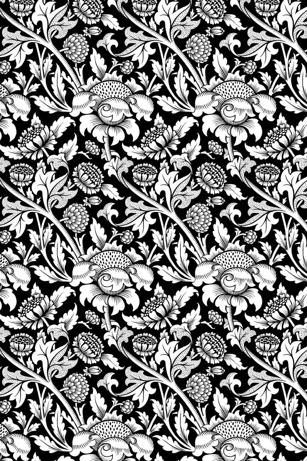 Classic Floral Black White Art Nouveau Wall Art