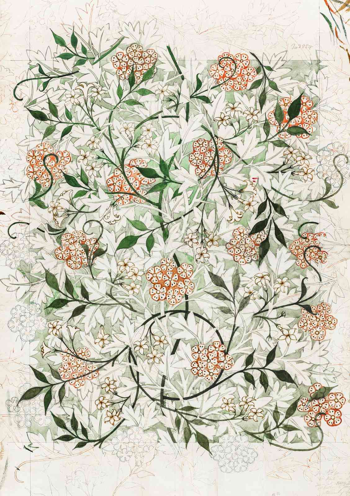 Vintage Floral Botanical Art Wall Art