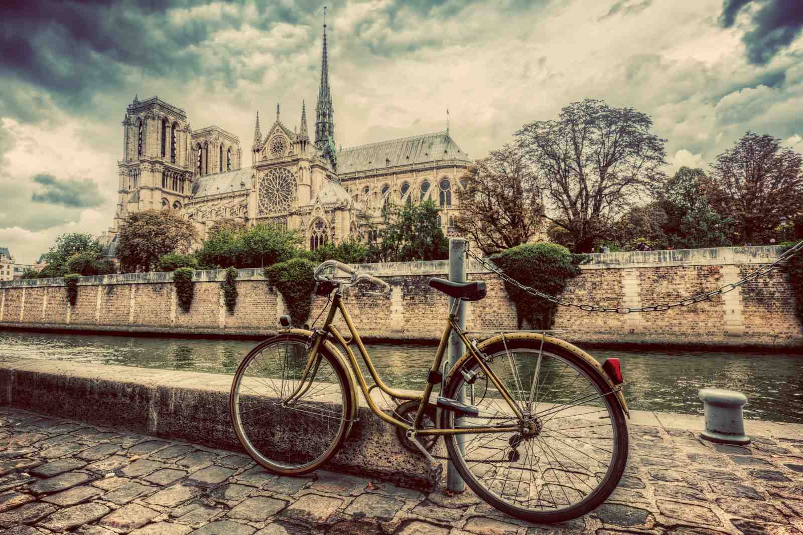 Parisian Dreamscape Notre Dame Bike Wall Art