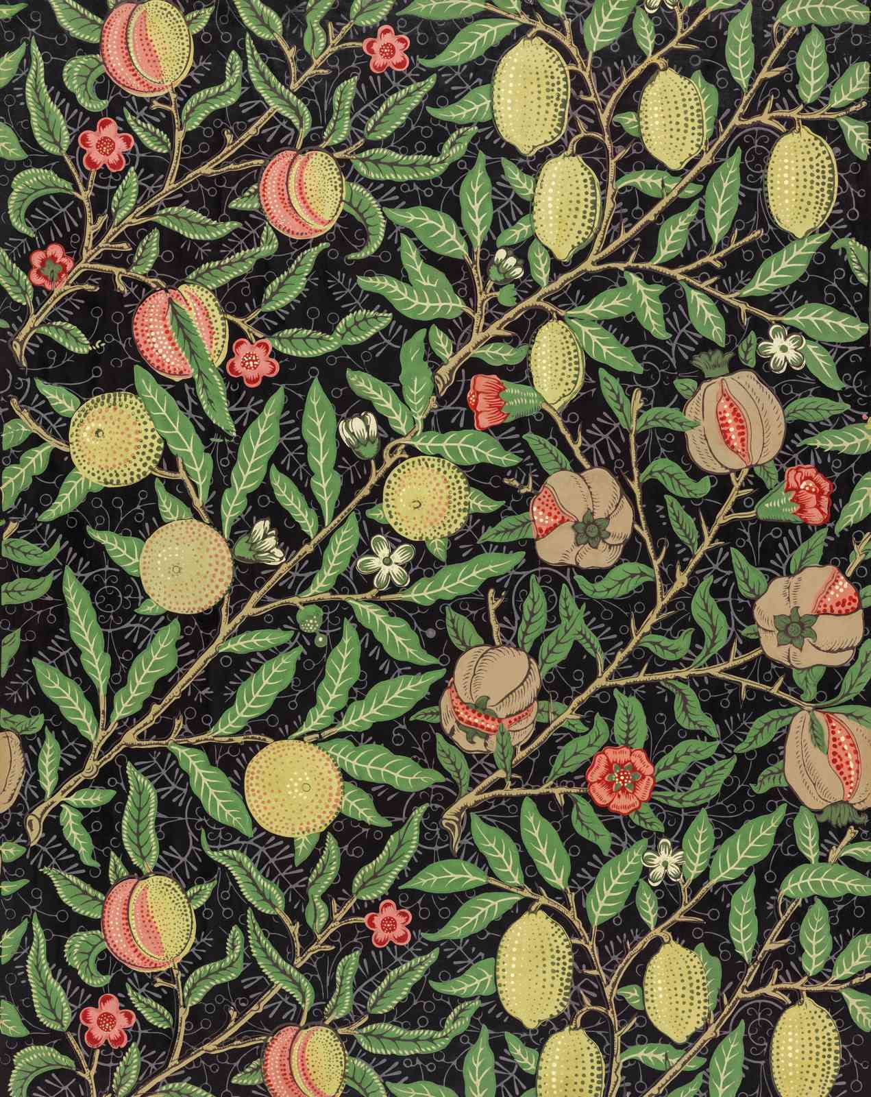 Vintage Fruit & Floral Dark Wall Art