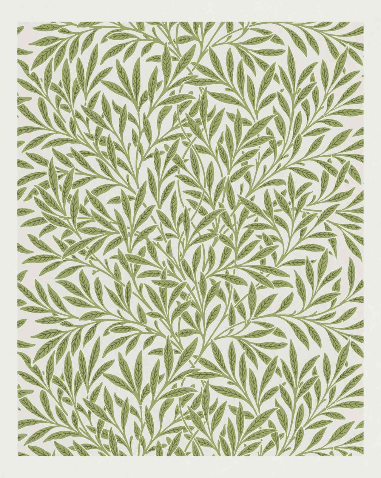 Willow Leaves Botanical Art Wall Art