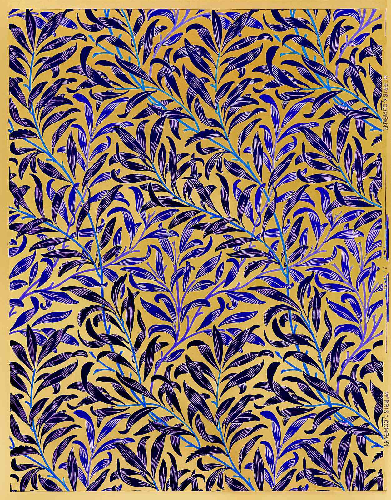 Blue Willow Botanical Art Wall Art