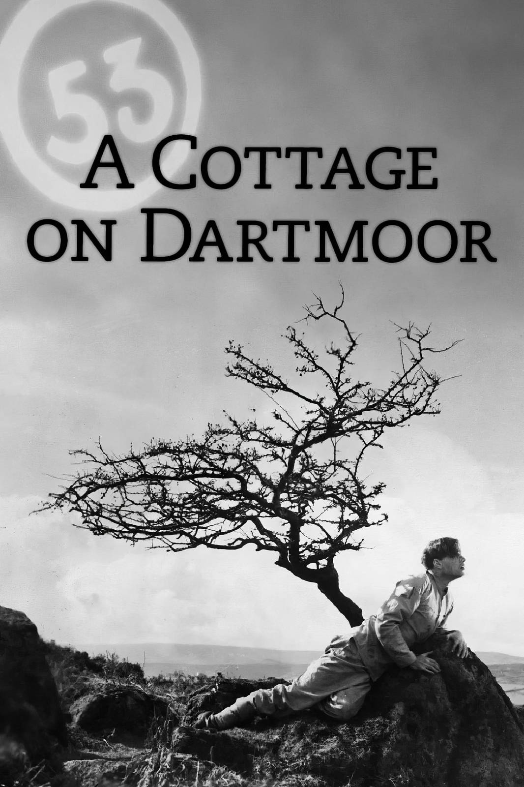 Vintage 'A Cottage on Dartmoor' Film Poster Wall Art
