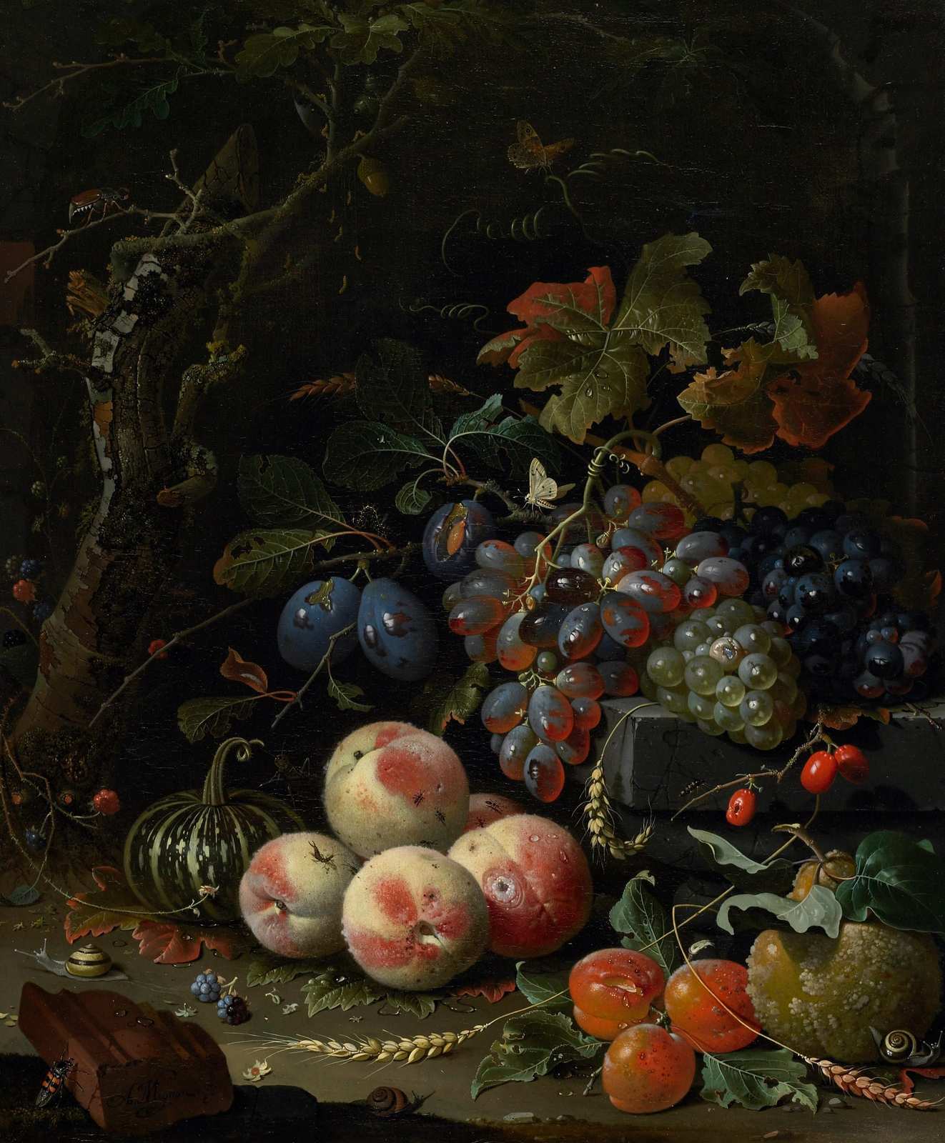 Nature's Bounty Still Life Wall Art