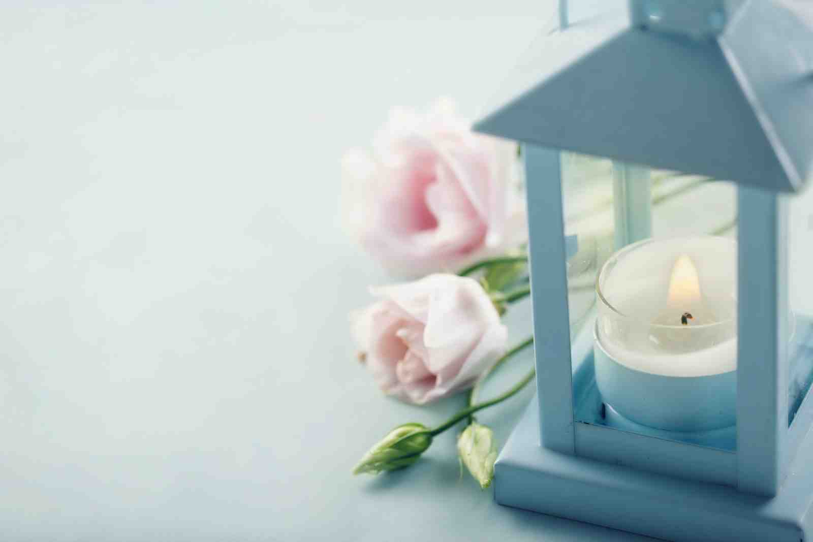 Serene Pink Roses & Blue Lantern Wall Art
