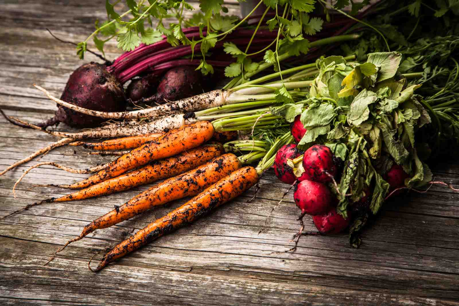 Farm Fresh Veggies Rustic Wall Art