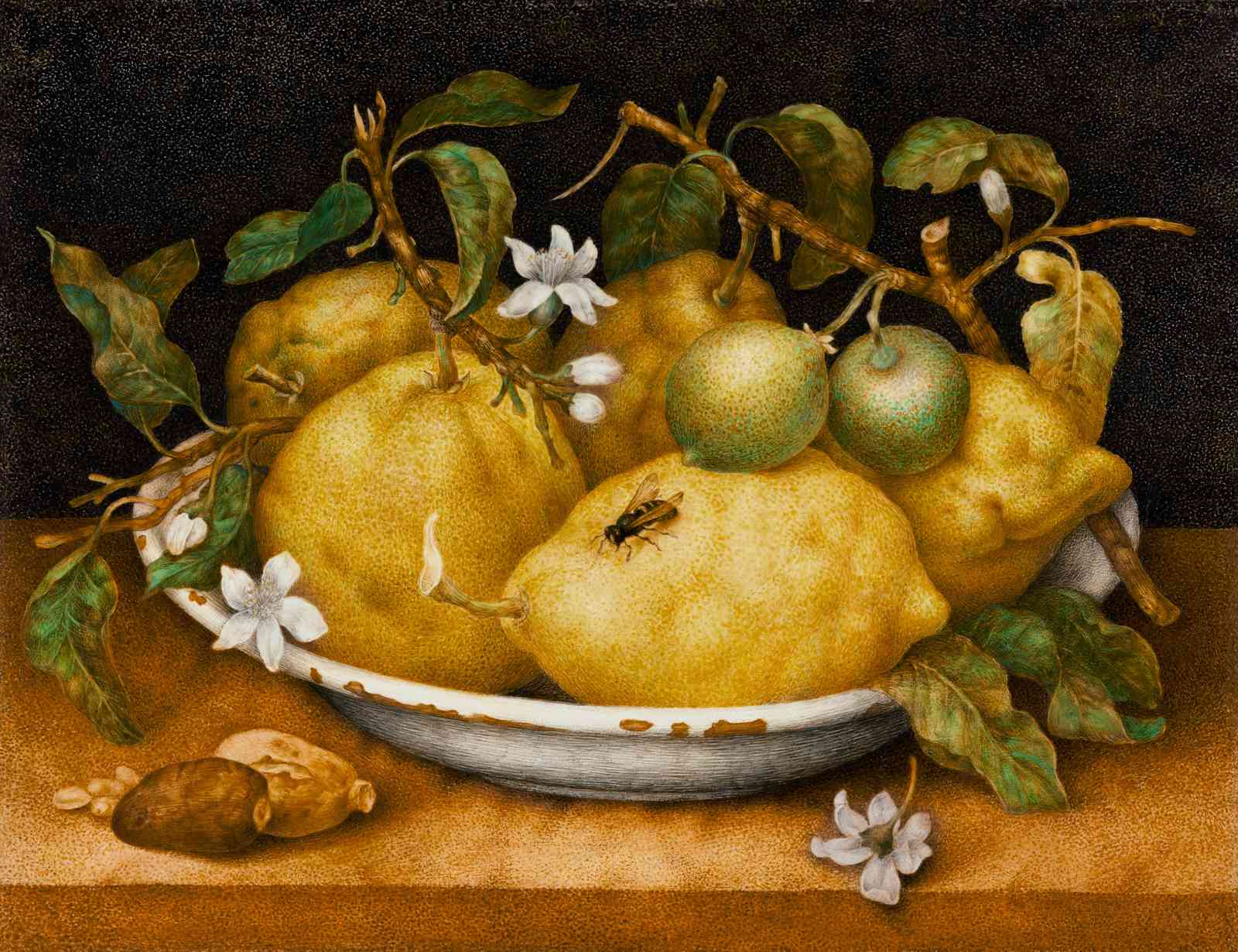 Vibrant Lemon Still Life Wall Art