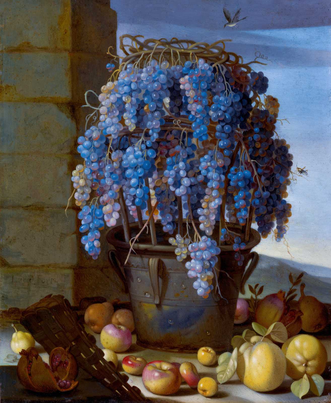 Vibrant Blue Grapes Still Life Wall Art