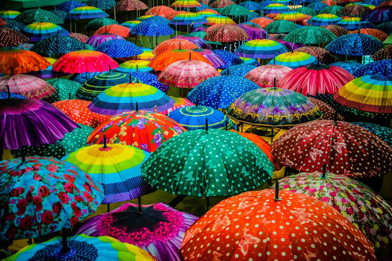Vibrant Umbrella Canopy Wall Art - Boho Wall Art