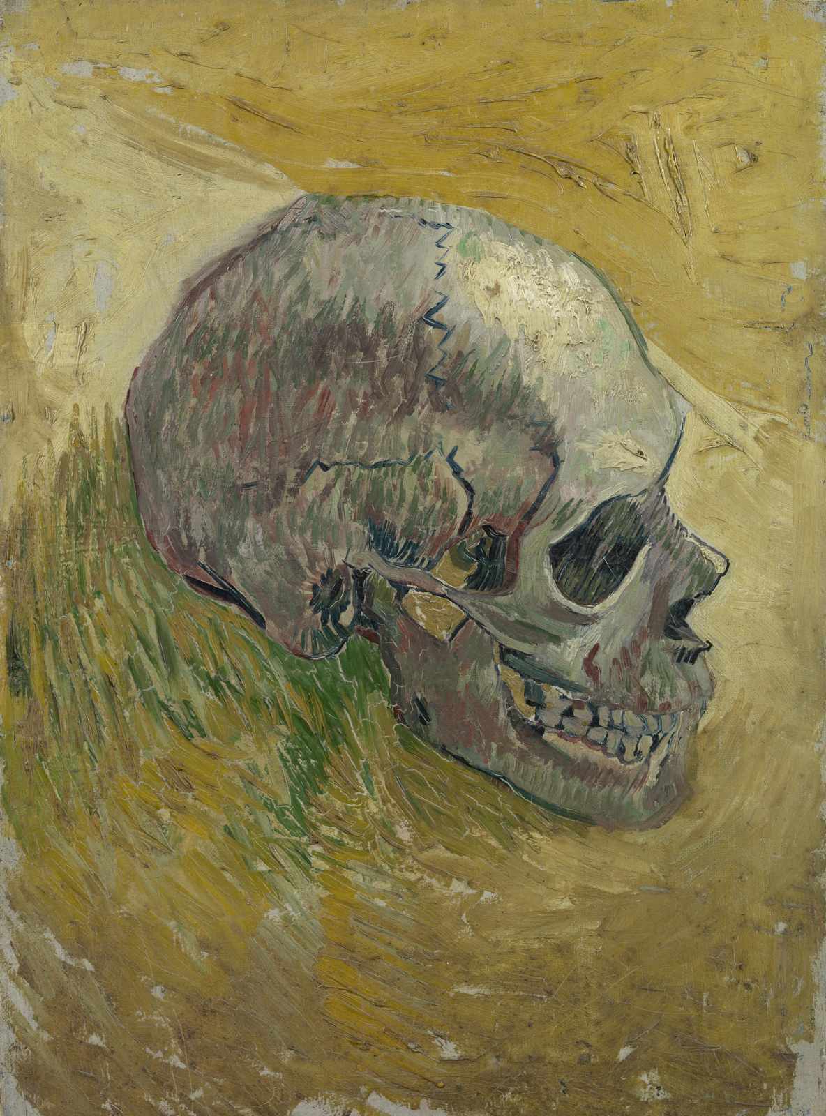 Van Gogh Skull Study Wall Art for Art Lovers
